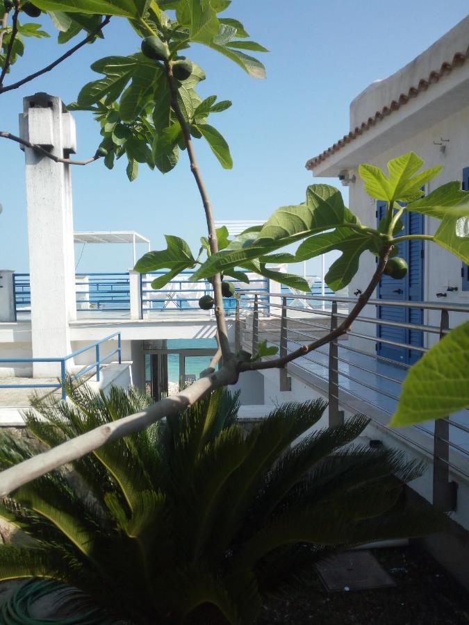 B&B Conca Del Faro Mattinata Exterior photo